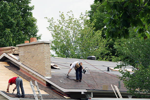 Roof Gutter Cleaning in Clinton, SC